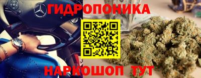 прущие крисы Нарткала