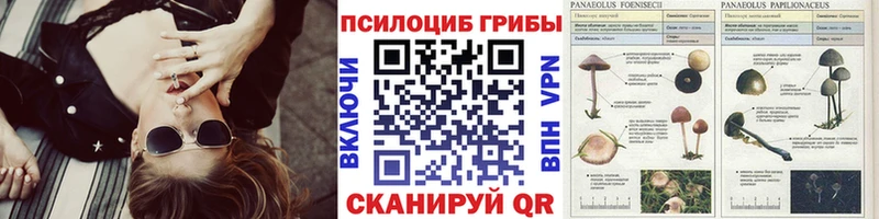 Галлюциногенные грибы Psilocybine cubensis  Скопин 