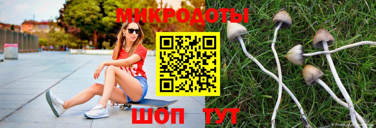 Галлюциногенные грибы прущие грибы  как найти закладки  Скопин  Галлюциногенные грибы GOLDEN TEACHER  Вход с VPN 